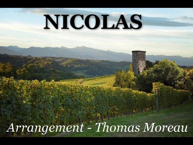 vue sur les vignes pour la composition "Nicolas" de Thomas Moreau